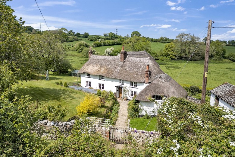 Click the photo for more details of Dalwood