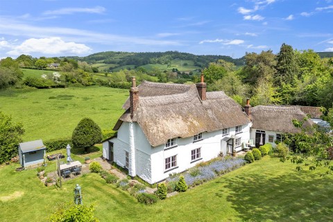Click the photo for more details of Dalwood