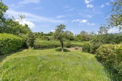 Images for Dalwood