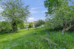 Images for Dalwood