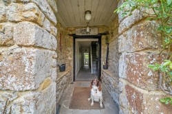 Images for Dowlish Wake, Ilminster
