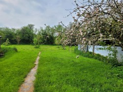 Images for Hooke, Beaminster