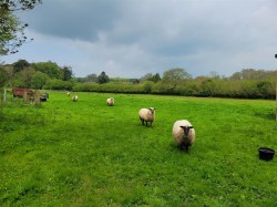 Images for Hooke, Beaminster