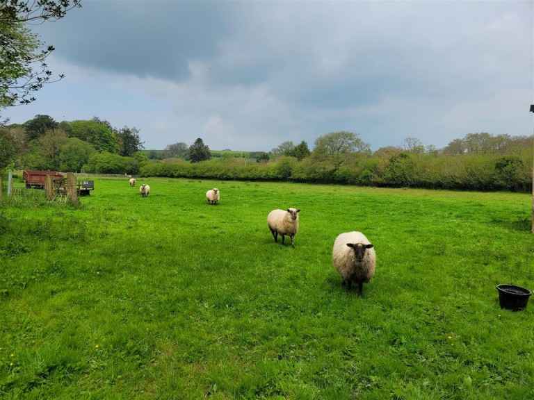 Images for Hooke, Beaminster