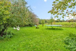 Images for Hooke, Beaminster