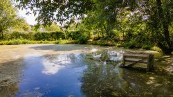Images for Hooke, Beaminster