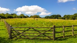 Images for Hooke, Beaminster