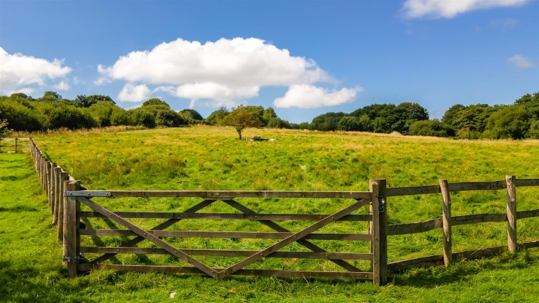Images for Hooke, Beaminster