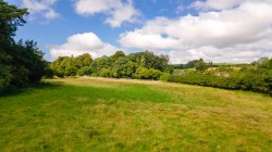 Images for Hooke, Beaminster