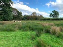 Images for South Zeal, Okehampton