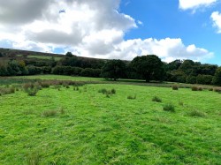 Images for South Zeal, Okehampton