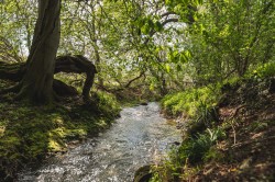 Images for Wicken Road, Wicken Bonhunt, Saffron Walden