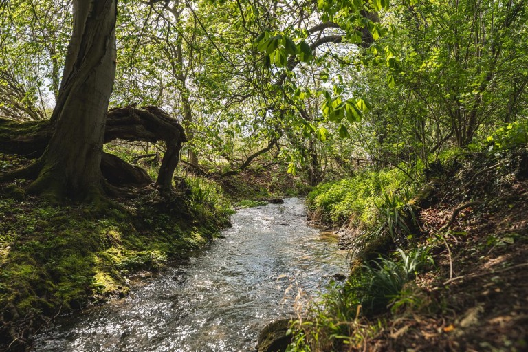 Images for Wicken Road, Wicken Bonhunt, Saffron Walden