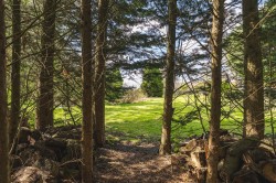 Images for Wicken Road, Wicken Bonhunt, Saffron Walden