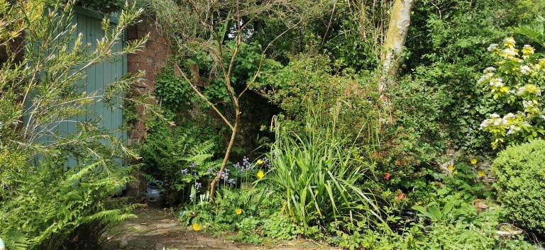 Images for Willowby Park, Yelverton