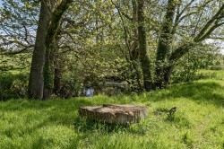 Images for Crediton