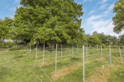 Images for Dassels, Braughing, Ware