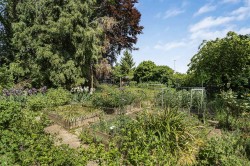 Images for Ashdon Road, Saffron Walden