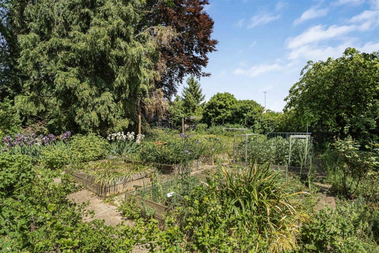Images for Ashdon Road, Saffron Walden