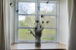 Images for Pyworthy, Holsworthy