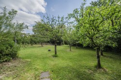 Images for Pyworthy, Holsworthy