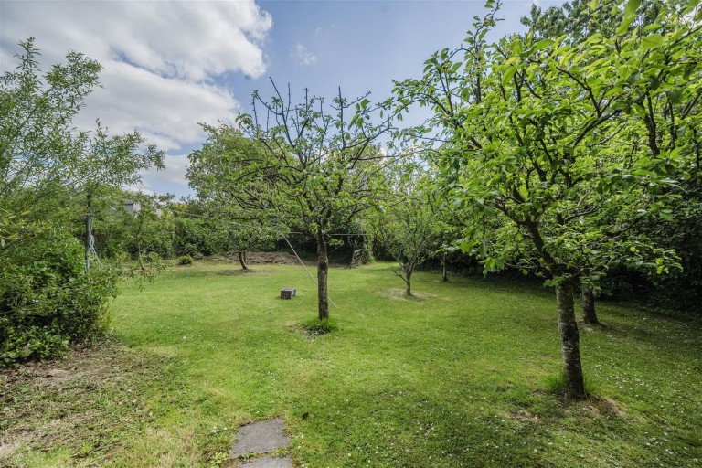 Images for Pyworthy, Holsworthy