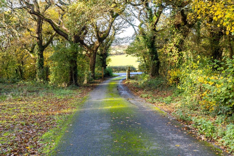 Images for Porchfield, Isle of Wight
