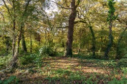 Images for Porchfield, Isle of Wight