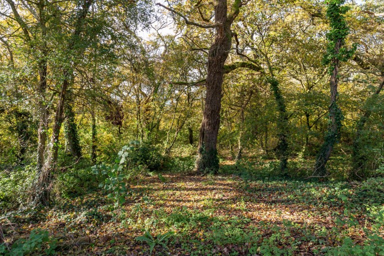 Images for Porchfield, Isle of Wight