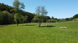 Images for Chawleigh