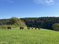 Images for Chawleigh