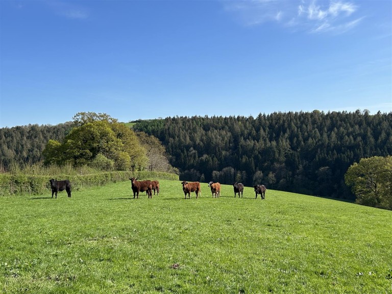 Images for Chawleigh