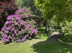Images for Chawleigh