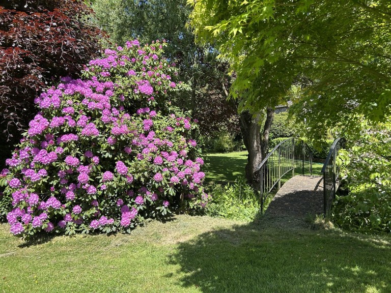 Images for Chawleigh