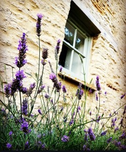 Images for Filkins, Oxfordshire