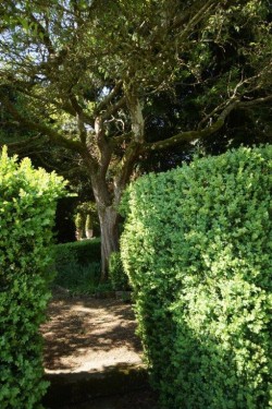 Images for Little Barrington, Oxfordshire