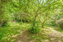 Images for Langdon, Launceston