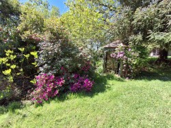 Images for Langdon, Launceston