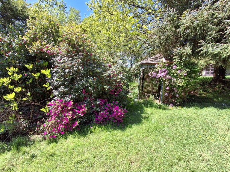 Images for Langdon, Launceston