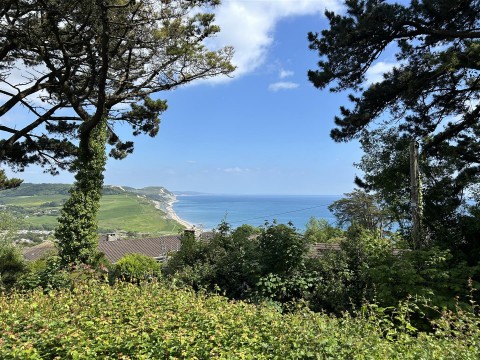 Click the photo for more details of Old Lyme Road, Charmouth, Bridport