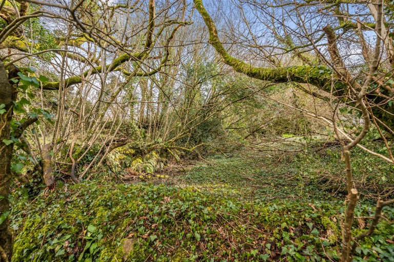 Images for Tregreenwell Hill, St. Teath, Bodmin