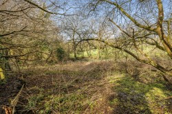 Images for Tregreenwell Hill, St. Teath, Bodmin