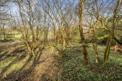 Images for Tregreenwell Hill, St. Teath, Bodmin