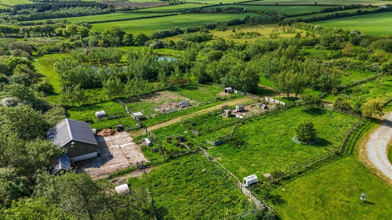 Images for Bradworthy, Holsworthy