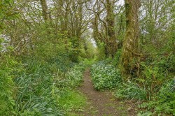 Images for Bradworthy, Holsworthy