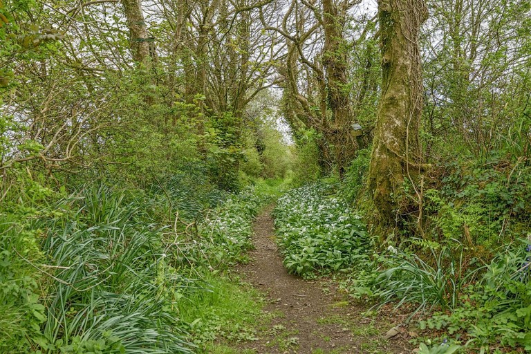 Images for Bradworthy, Holsworthy