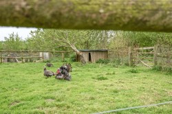 Images for Bradworthy, Holsworthy