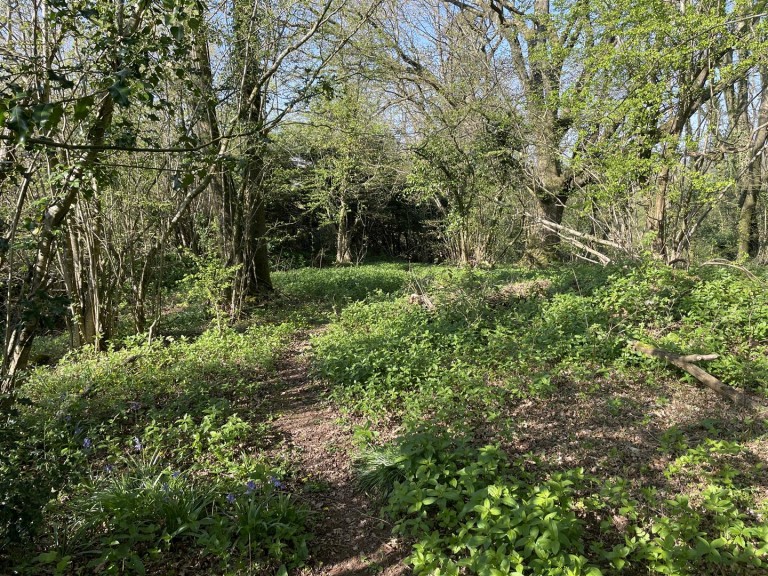 Images for Thorne St. Margaret, Wellington