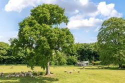 Images for Whatley, Winsham,