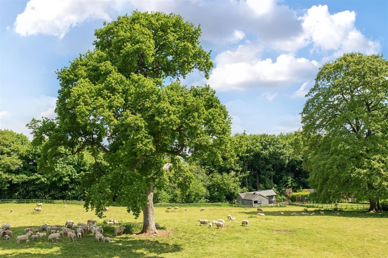 Images for Whatley, Winsham,